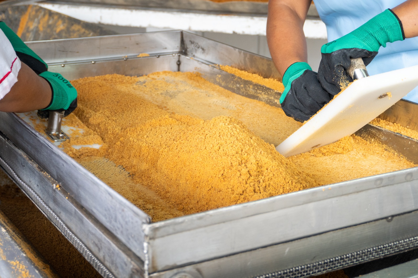 Procesamiento de panela